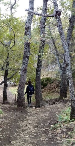 caminante sin acompañante
