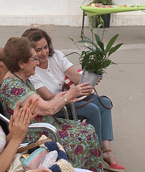 entrega maceta