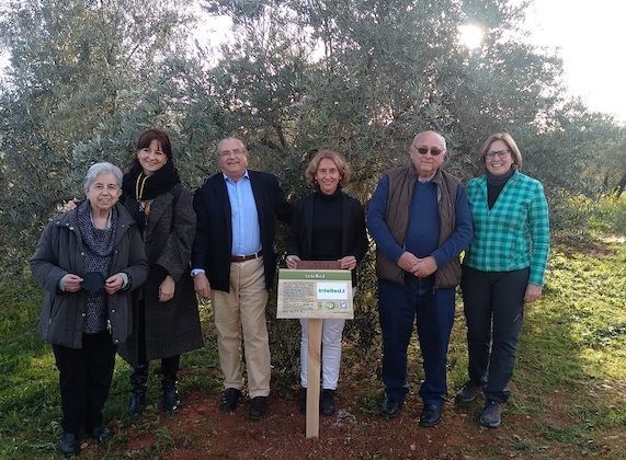 intered premio