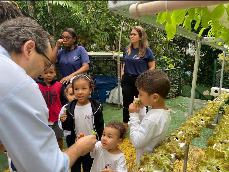 Huerta colegio teresiano brasil