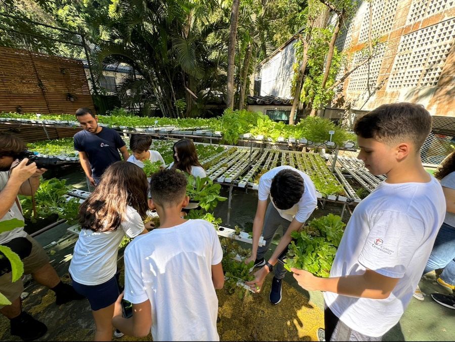 huerta sostenible colegio teresiano brasil