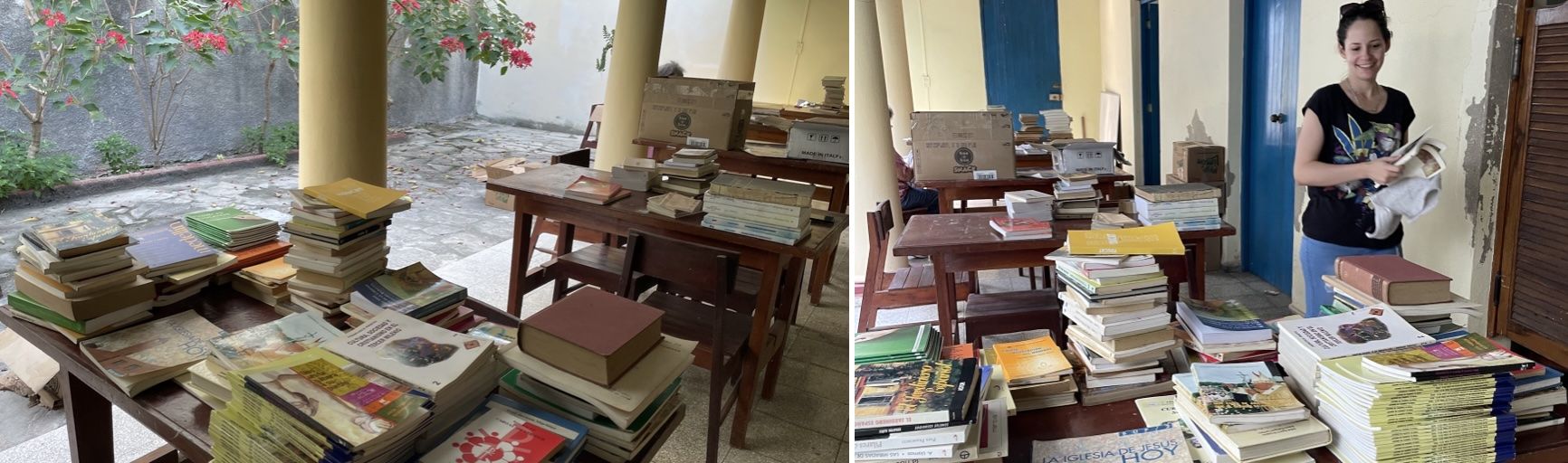 limpiandoLibros
