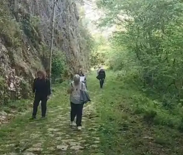 Naturaleza Covadonga Consejo Cultura